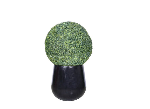 Boxwood Topiary Ball