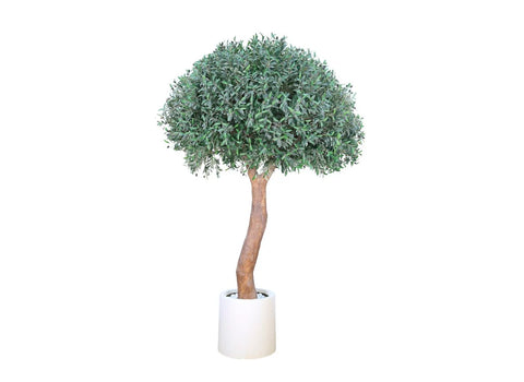 Olive Umpralla