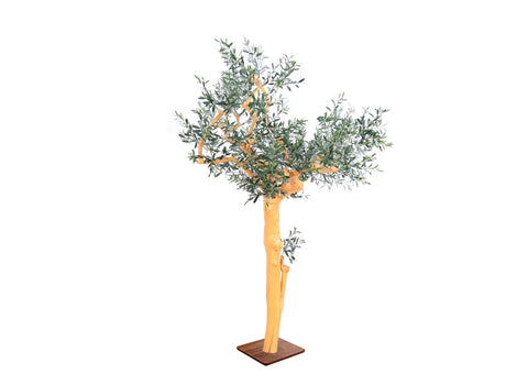 Olive Tree Style 2