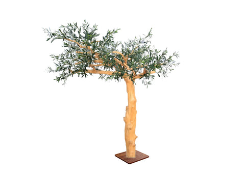 Olive Tree Style 3