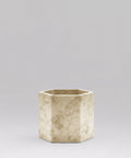 alexa-dunhill-beige