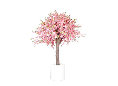 PInk Cherry Blossom Tree