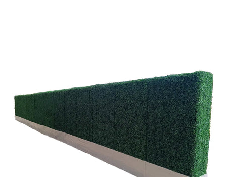 Green Screen