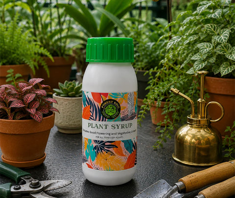 Forest King Plant Syrup