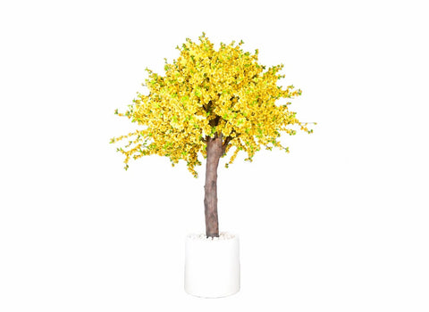 Yellow Cherry Blossom Tree